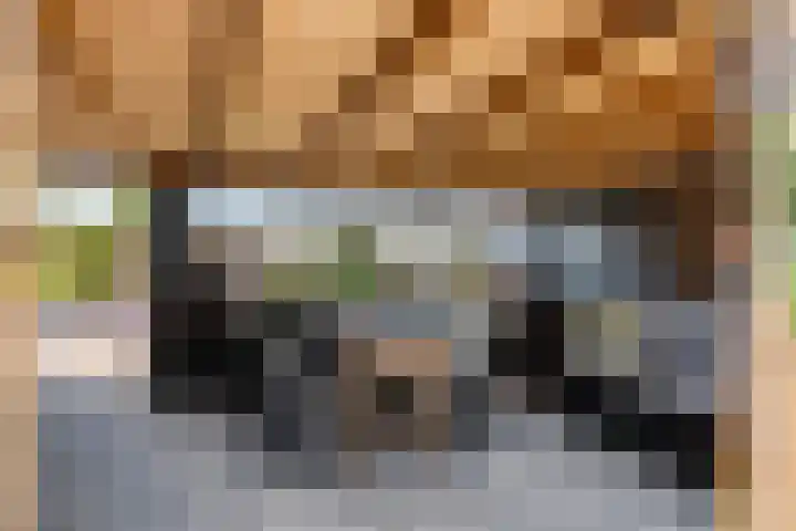 Zwarte Paard 6 Ingen thumbnail 29