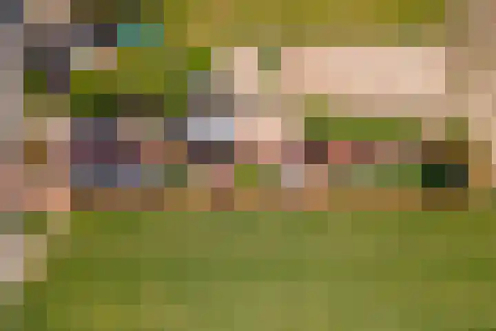 Zwarte Paard 6 Ingen foto 3