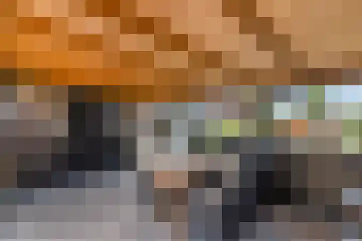 Zwarte Paard 6 Ingen thumbnail 30