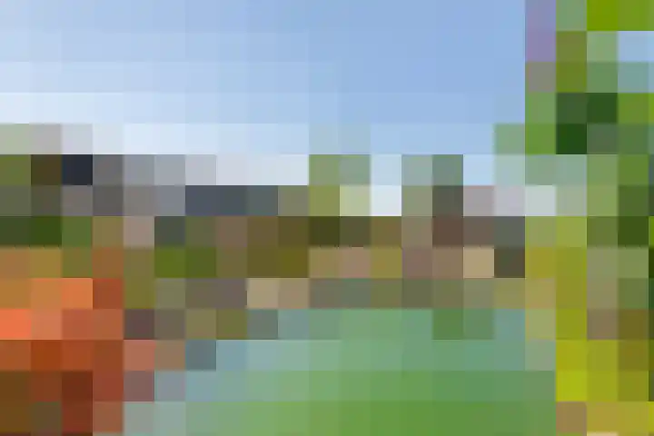 Zwarte Paard 6 Ingen thumbnail 31