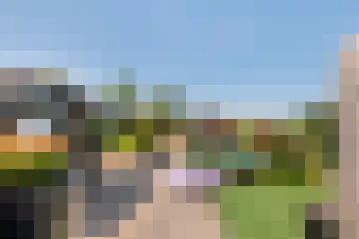 Zwarte Paard 6 Ingen thumbnail 32