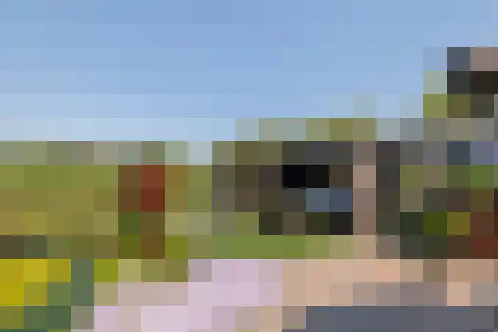 Zwarte Paard 6 Ingen thumbnail 33
