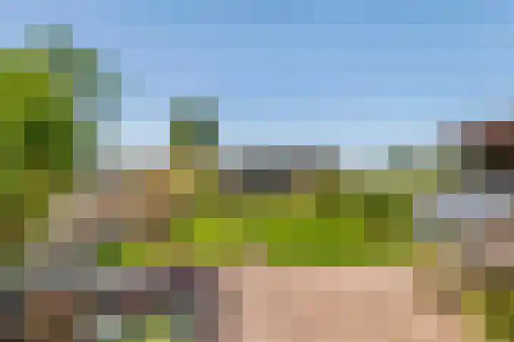 Zwarte Paard 6 Ingen thumbnail 34