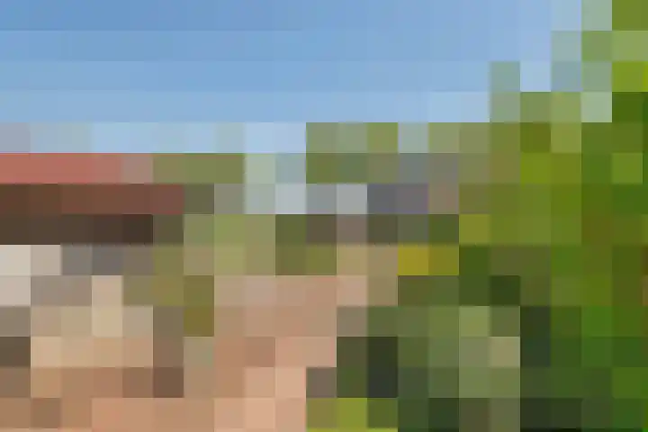 Zwarte Paard 6 Ingen thumbnail 36