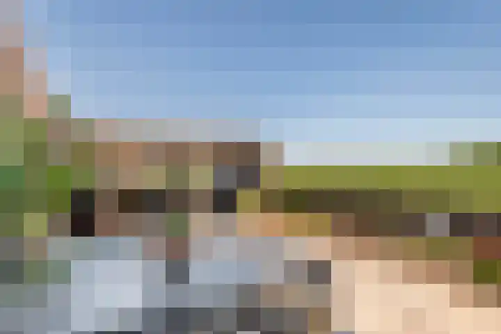Zwarte Paard 6 Ingen thumbnail 39