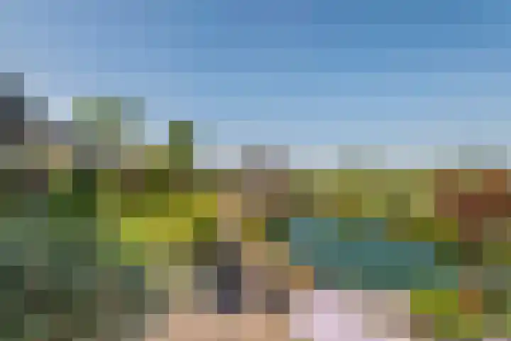 Zwarte Paard 6 Ingen thumbnail 4