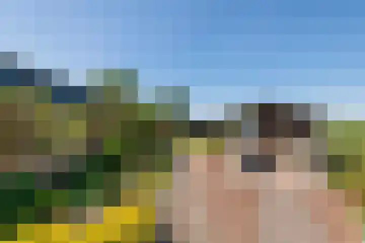 Zwarte Paard 6 Ingen thumbnail 40