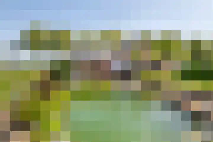 Zwarte Paard 6 Ingen thumbnail 41
