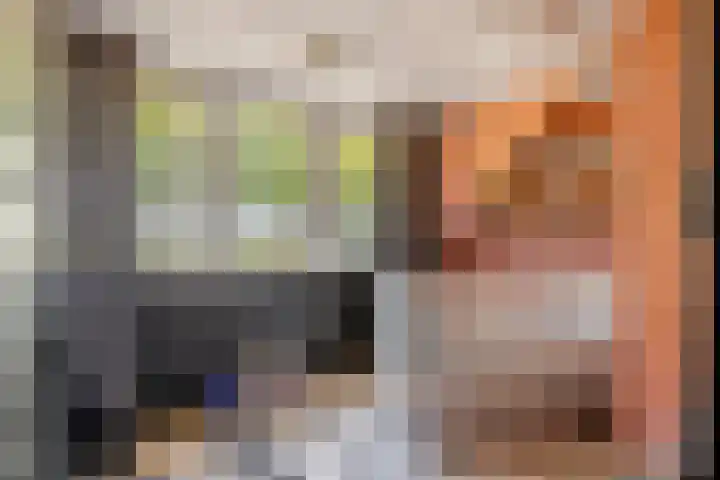 Zwarte Paard 6 Ingen thumbnail 42