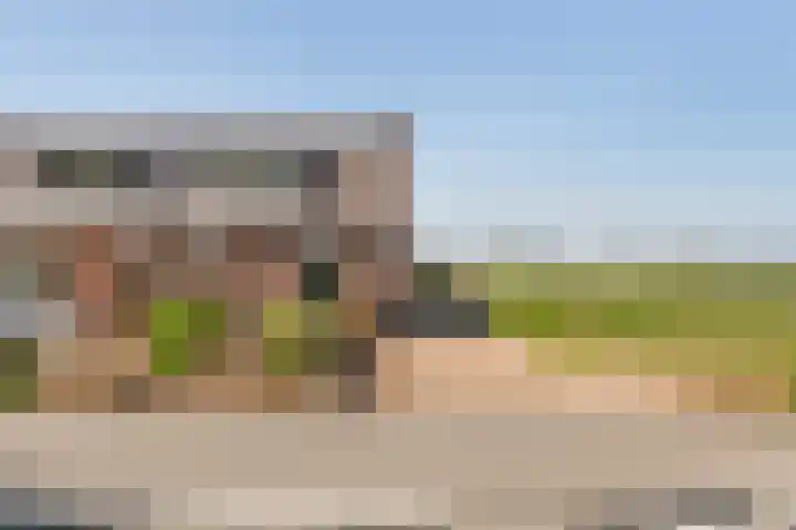 Zwarte Paard 6 Ingen thumbnail 49