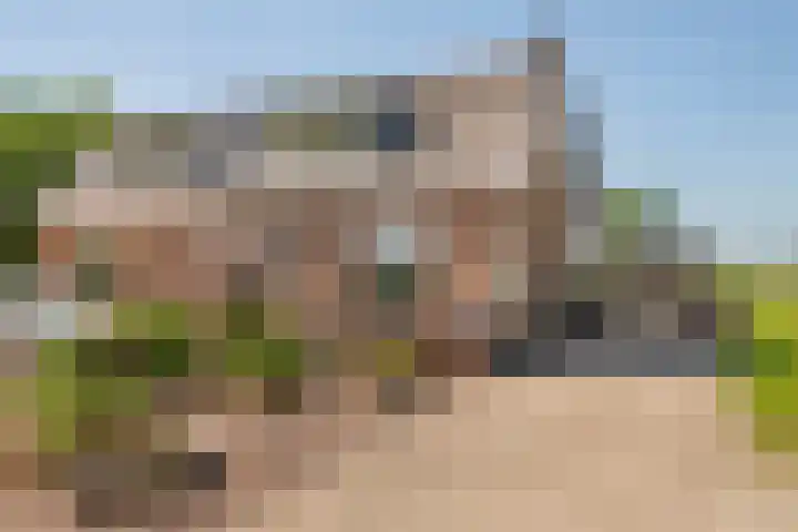Zwarte Paard 6 Ingen thumbnail 50