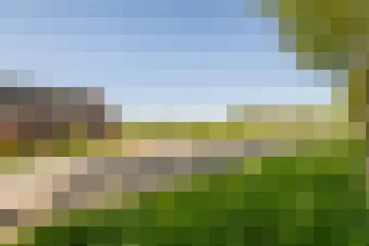 Zwarte Paard 6 Ingen thumbnail 51