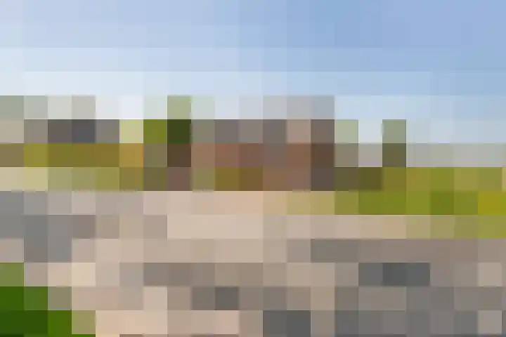 Zwarte Paard 6 Ingen thumbnail 52
