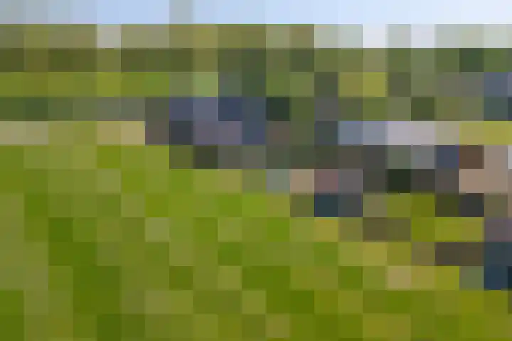 Zwarte Paard 6 Ingen thumbnail 57