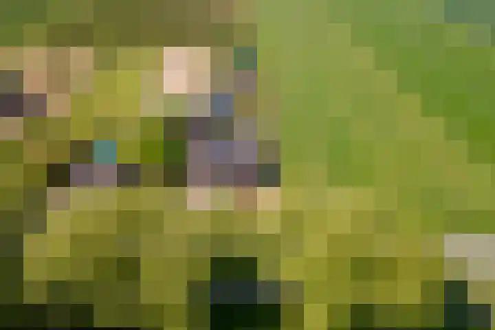 Zwarte Paard 6 Ingen thumbnail 60