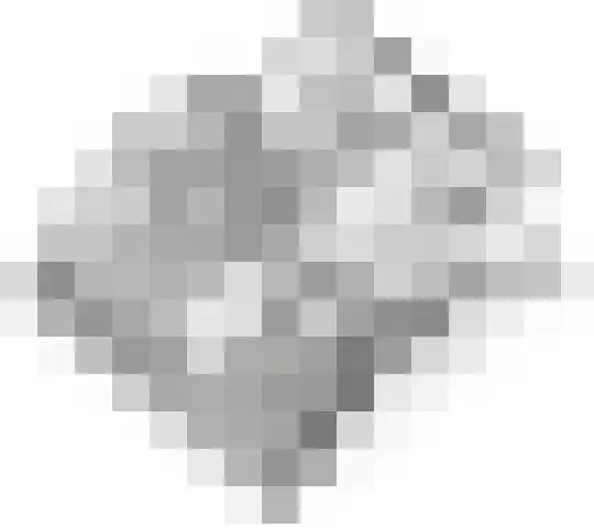 Zwarte Paard 6 Ingen thumbnail 64