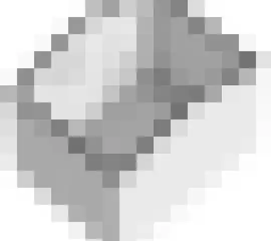 Zwarte Paard 6 Ingen thumbnail 66