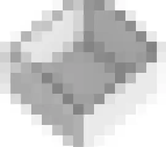 Zwarte Paard 6 Ingen thumbnail 68