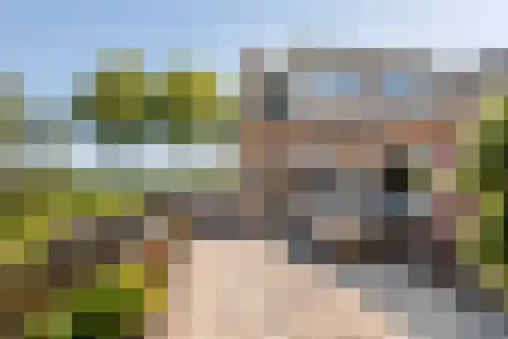 Zwarte Paard 6 Ingen thumbnail 7