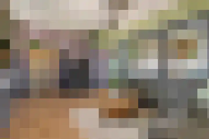 Zwarte Paard 6 Ingen thumbnail 8