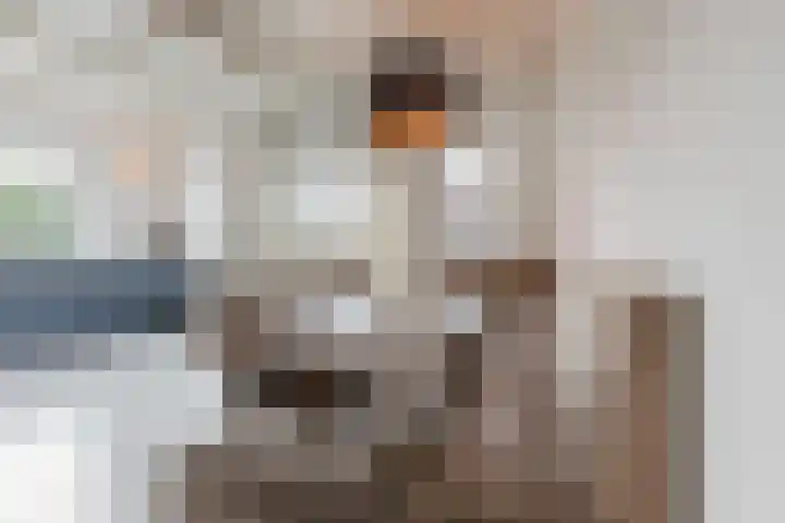 Zwarte Paard 8 Ingen thumbnail 21