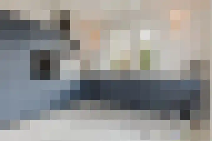 Zwarte Paard 8 Ingen thumbnail 23