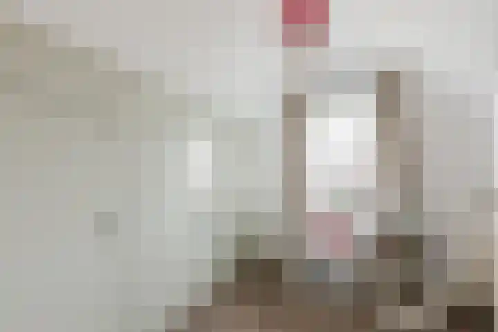 Zwarte Paard 8 Ingen thumbnail 32
