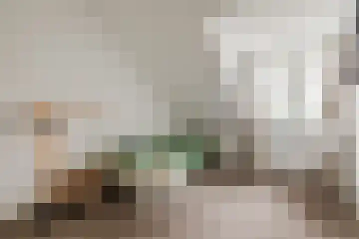 Zwarte Paard 8 Ingen thumbnail 34