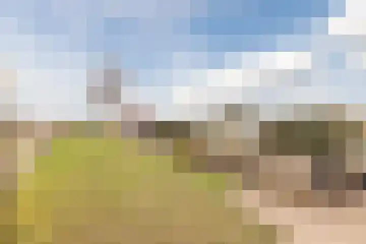 Zwarte Paard 8 Ingen thumbnail 4