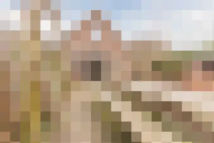 Zwarte Paard 8 Ingen thumbnail 42