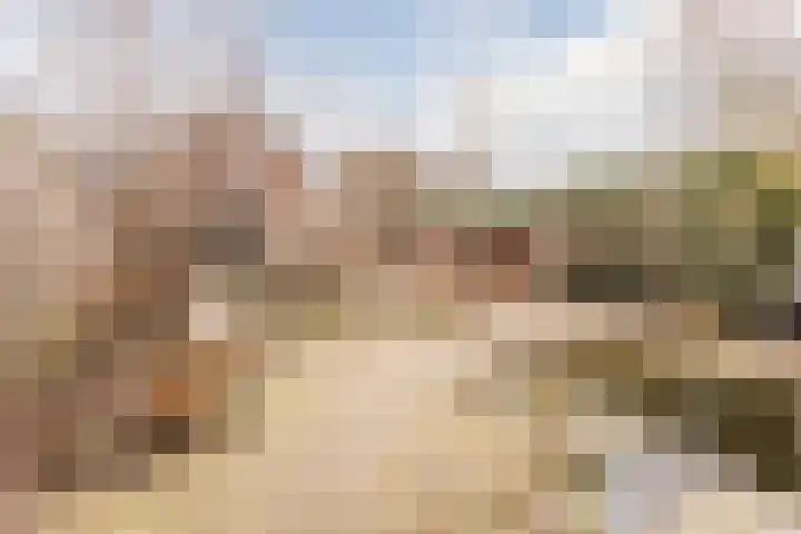 Zwarte Paard 8 Ingen thumbnail 43
