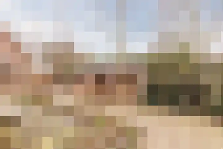 Zwarte Paard 8 Ingen thumbnail 44