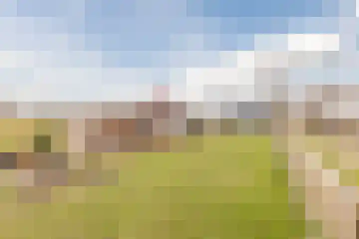 Zwarte Paard 8 Ingen thumbnail 5