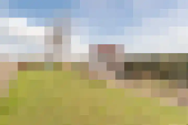 Zwarte Paard 8 Ingen thumbnail 56