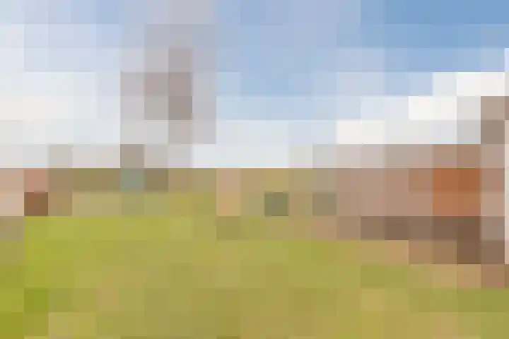 Zwarte Paard 8 Ingen thumbnail 57