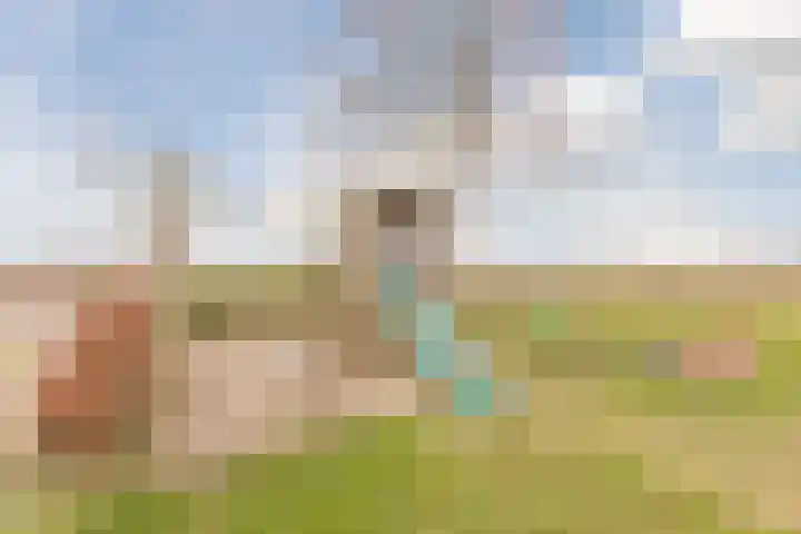 Zwarte Paard 8 Ingen thumbnail 58