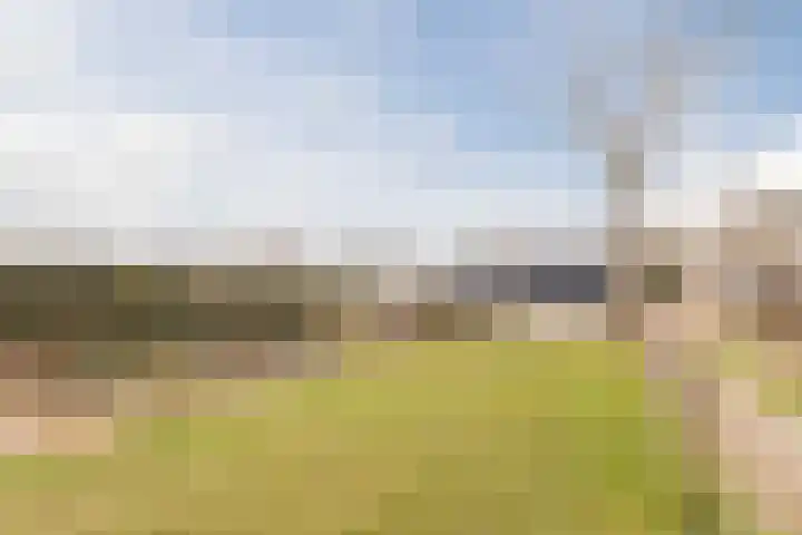 Zwarte Paard 8 Ingen thumbnail 59