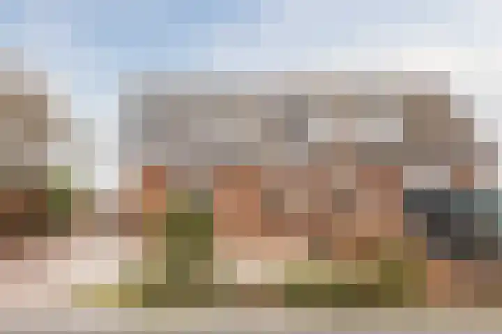 Zwarte Paard 8 Ingen thumbnail 6