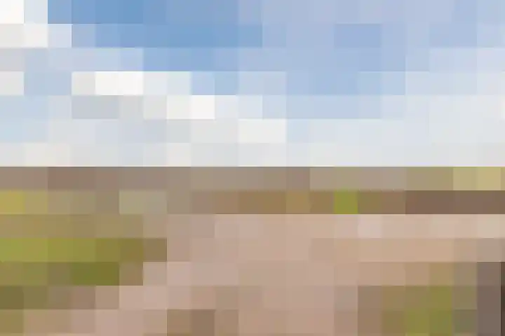 Zwarte Paard 8 Ingen thumbnail 60