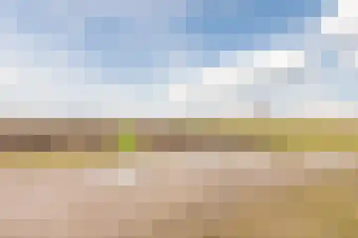 Zwarte Paard 8 Ingen thumbnail 61