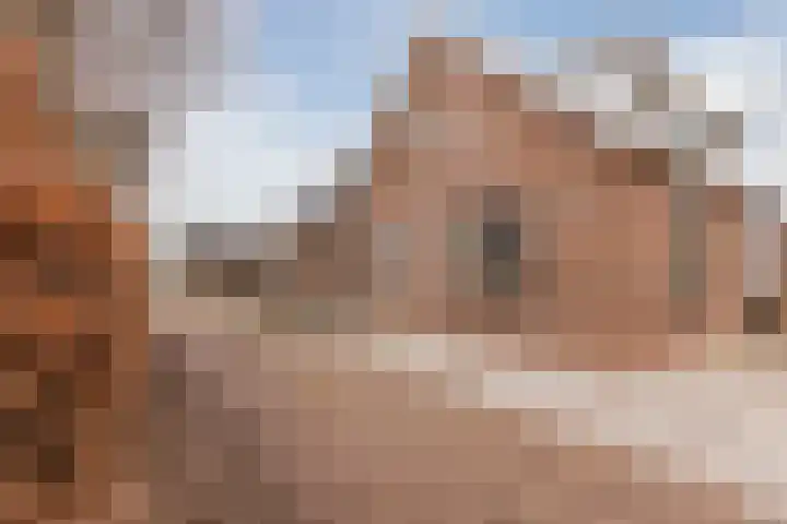 Zwarte Paard 8 Ingen thumbnail 7