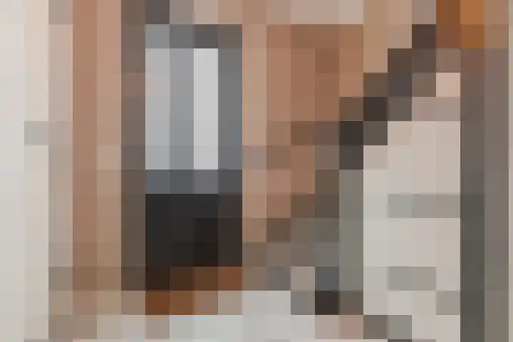 Zwarte Paard 8 Ingen thumbnail 8