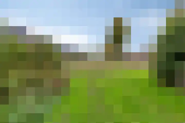 Zwarte Ring 109 Assendelft thumbnail 32