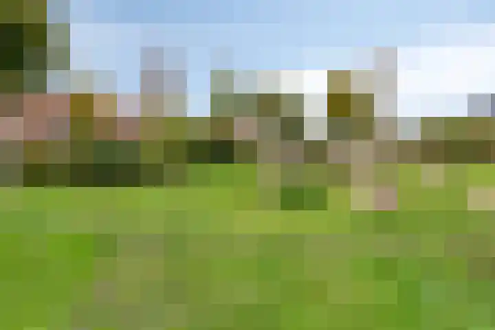 Zwarte Ring 109 Assendelft thumbnail 33