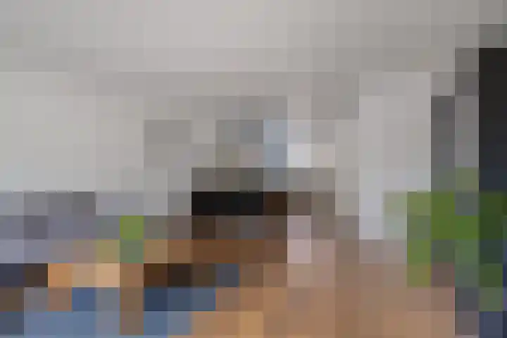 Zwarte Ring 109 Assendelft thumbnail 5