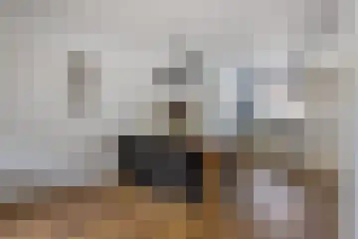 Zwarte Ring 109 Assendelft thumbnail 7