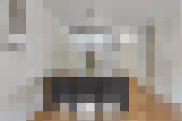 Zwarte Ring 109 Assendelft thumbnail 8