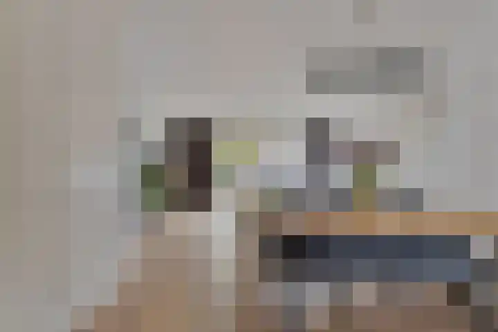Zwarte Ring 109 Assendelft thumbnail 9
