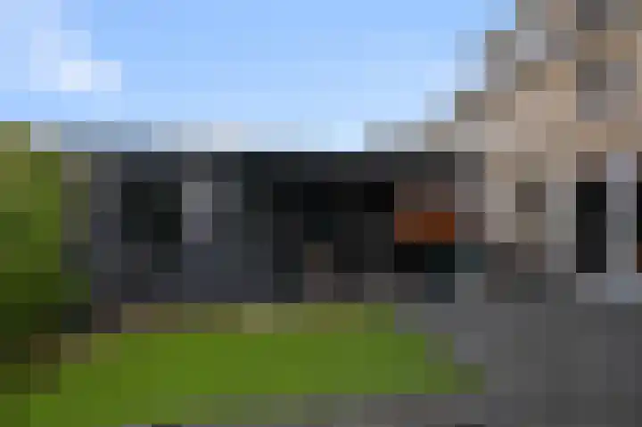 Zwarte Ring 137 Assendelft thumbnail 30