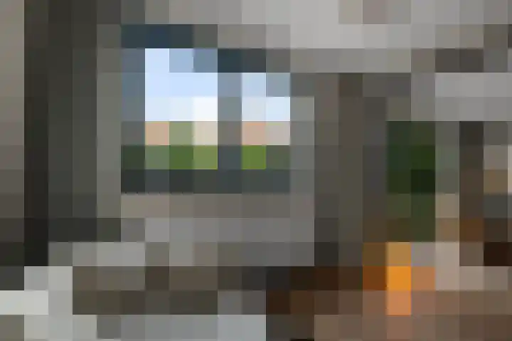 Zwarte Ring 137 Assendelft thumbnail 6